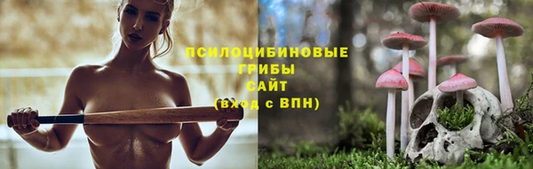 apvp Алзамай