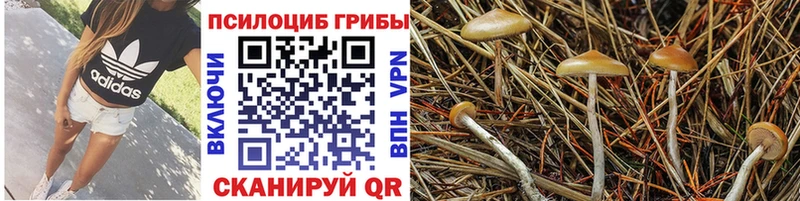 цена   Зверево  Псилоцибиновые грибы мухоморы 